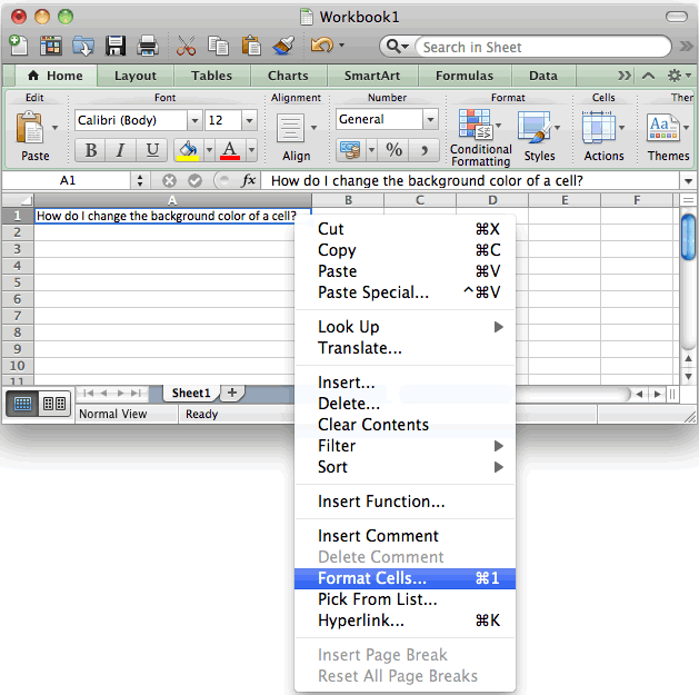 lock the formatting in excel for mac 2011